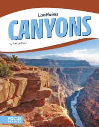 Book Cover for Canyons by Sonja Olson