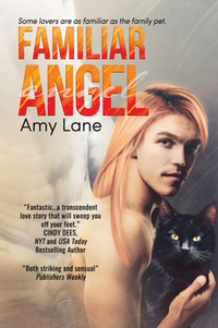 Book Cover for Familiar Angel by Amy Lane