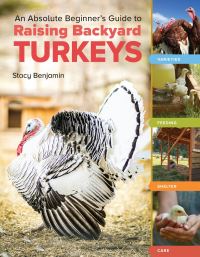 Book Cover for An Absolute Beginner's Guide to Raising Backyard Turkeys by Stacy Benjamin