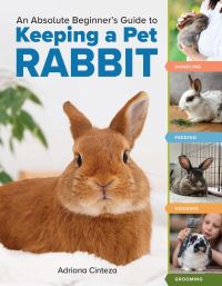 Book Cover for An Absolute Beginner's Guide to Keeping a Pet Rabbit by Adriana Cinteza