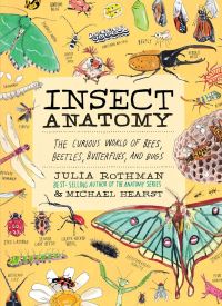Book Cover for Insect Anatomy by Julia Rothman, Michael Hearst