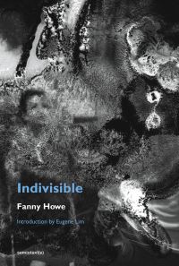 Book Cover for Indivisible by Fanny Howe