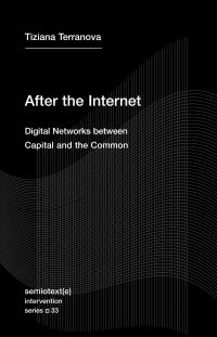 Book Cover for After the Internet by Tiziana Terranova