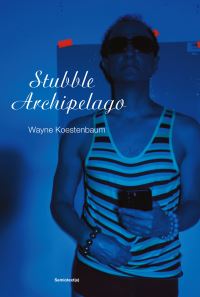 Book Cover for Stubble Archipelago by Wayne Koestenbaum