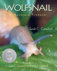 Book Cover for Wolfsnail by Sarah C Campbell