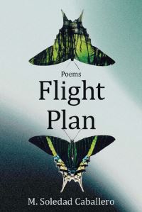 Book Cover for Flight Plan by M Soledad Caballero