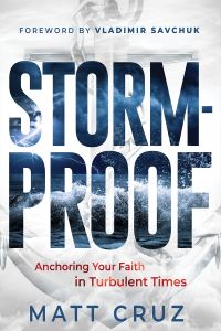 Book Cover for Stormproof by Matt Cruz