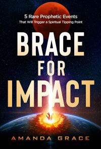 Book Cover for Brace for Impact by Amanda Grace
