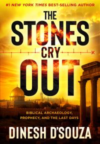 Book Cover for The Stones Cry Out by Dinesh DSouza