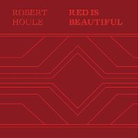 Book Cover for Robert Houle by Michael Bell, Wanda Nanibush, Stephen Borys, Duke Redbird, Faye HeavyShield, Kay WalkingStick, Jamelie Hassan
