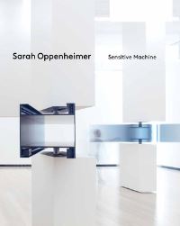 Book Cover for Sarah Oppenheimer by Suzanne Keen, Seph Rodney