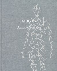 Book Cover for Antony Gormley by Amanada Gluibizzi, Thomas Nail