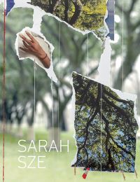 Book Cover for Sarah Sze by Rochelle Steiner