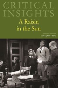 Book Cover for A Raisin in the Sun by Peter J Bailey