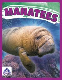 Book Cover for Manatees by Katie Chanez