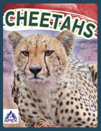 Book Cover for Cheetahs by Sophie GeisterJones