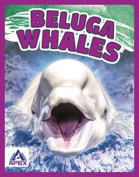 Book Cover for Beluga Whales by Angela Lim