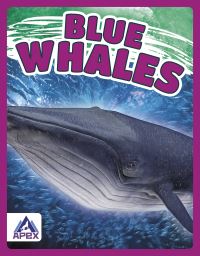 Book Cover for Blue Whales by Katie Chanez