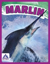 Book Cover for Marlin by Katie Chanez