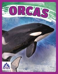 Book Cover for Orcas by Angela Lim