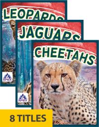 Book Cover for Wild Cats by Sophie GeisterJones
