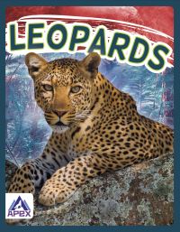 Book Cover for Leopards by Sophie GeisterJones