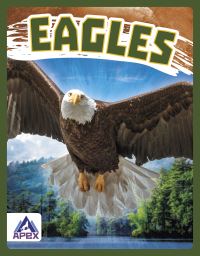 Book Cover for Eagles by Golriz Golkar