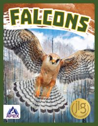 Book Cover for Falcons by Connor Stratton