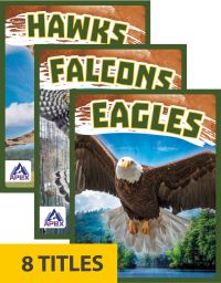 Book Cover for Birds of Prey by 