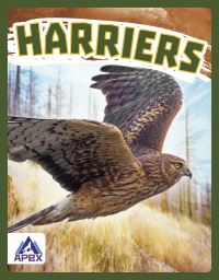 Book Cover for Harriers by Connor Stratton