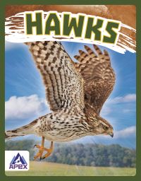 Book Cover for Hawks by Megan Gendell