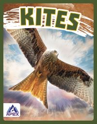 Book Cover for Kites by Connor Stratton
