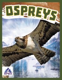 Book Cover for Ospreys by Connor Stratton