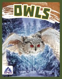 Book Cover for Owls by Golriz Golkar