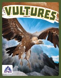 Book Cover for Vultures by Megan Gendell