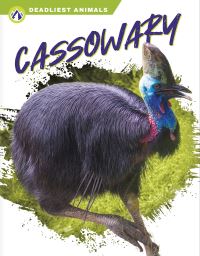 Book Cover for Cassowary by Connor Stratton