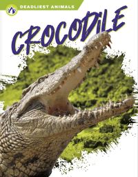 Book Cover for Crocodile by Golriz Golkar