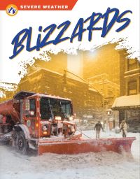 Book Cover for Blizzards by Sharon Dalgleish