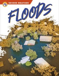 Book Cover for Floods by Sharon Dalgleish