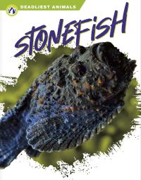 Book Cover for Stonefish by Golriz Golkar