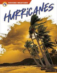 Book Cover for Hurricanes by Brienna Rossiter