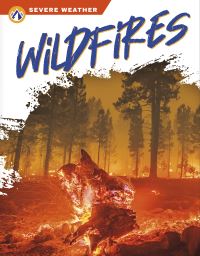 Book Cover for Wildfires by Candice Ransom
