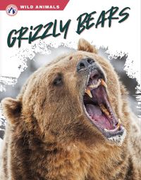 Book Cover for Grizzly Bears by Rachel Hamby