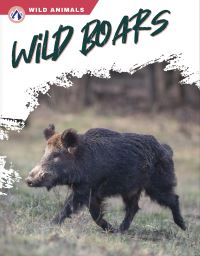 Book Cover for Wild Boars by Libby Wilson