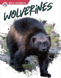 Book Cover for Wolverines by Megan Gendell