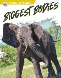 Book Cover for Biggest Bodies by Marissa Kirkman
