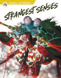 Book Cover for Strangest Senses by Ashley Gish