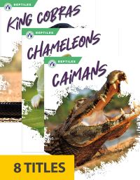 Book Cover for Reptiles (Set of 8). Hardcover by 