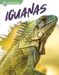 Book Cover for Iguanas by Shannon Jade