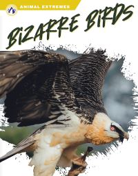 Book Cover for Bizarre Birds by Libby Wilson